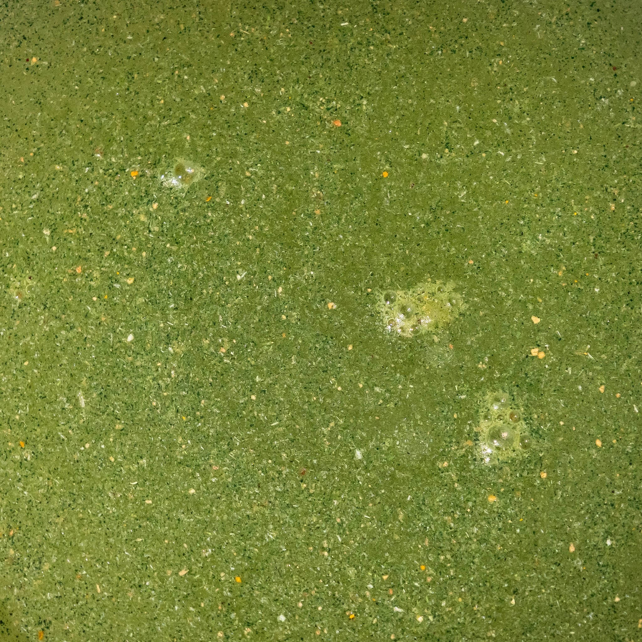 Close-up of Releaf Super Greens drink texture showing real plant particles