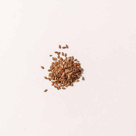 Flaxseed Protein