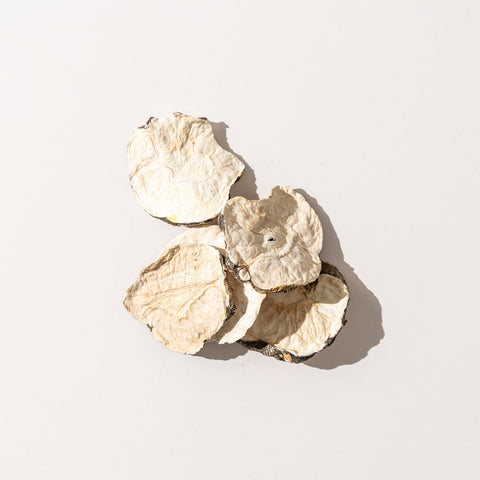 Maca Root