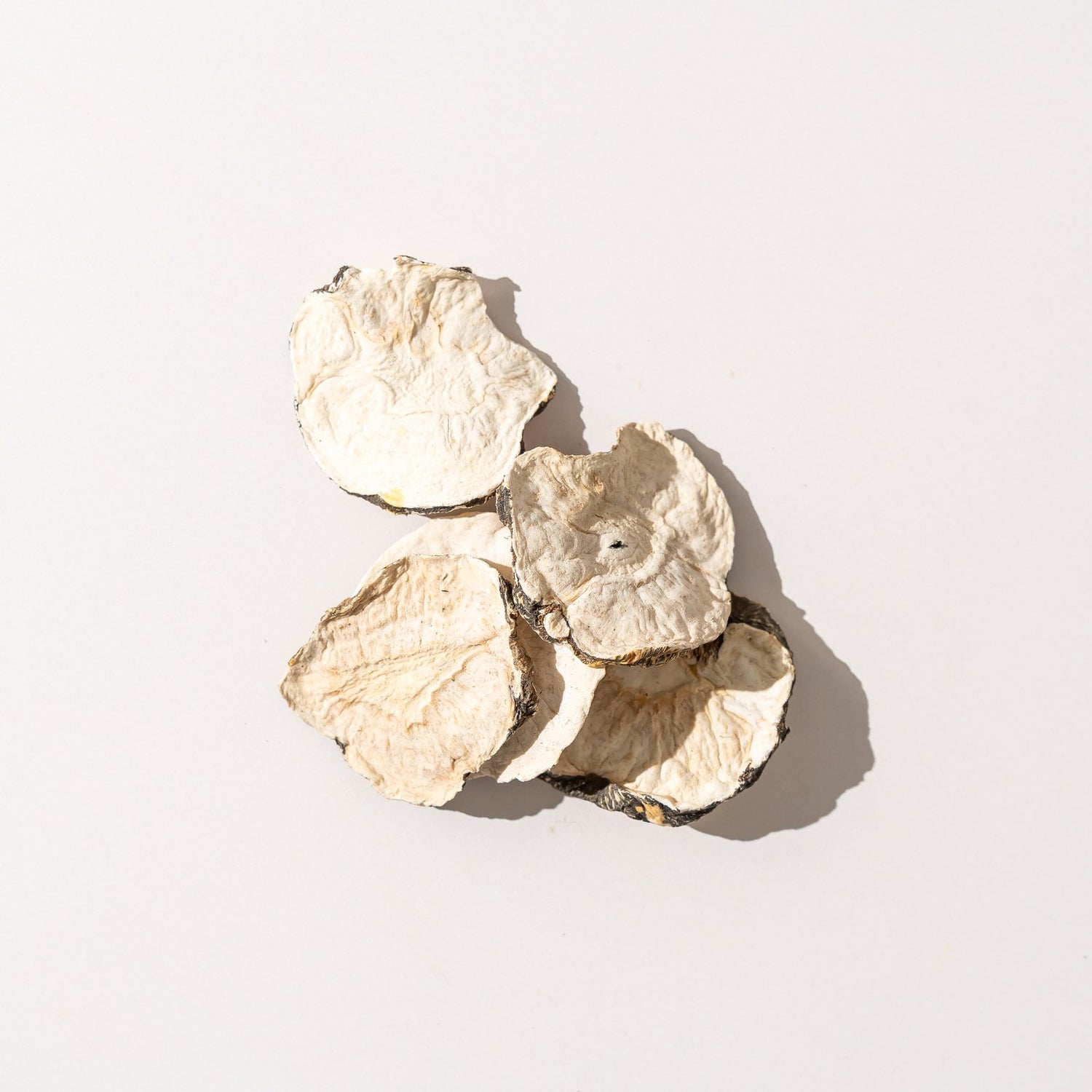 Dried maca root slices