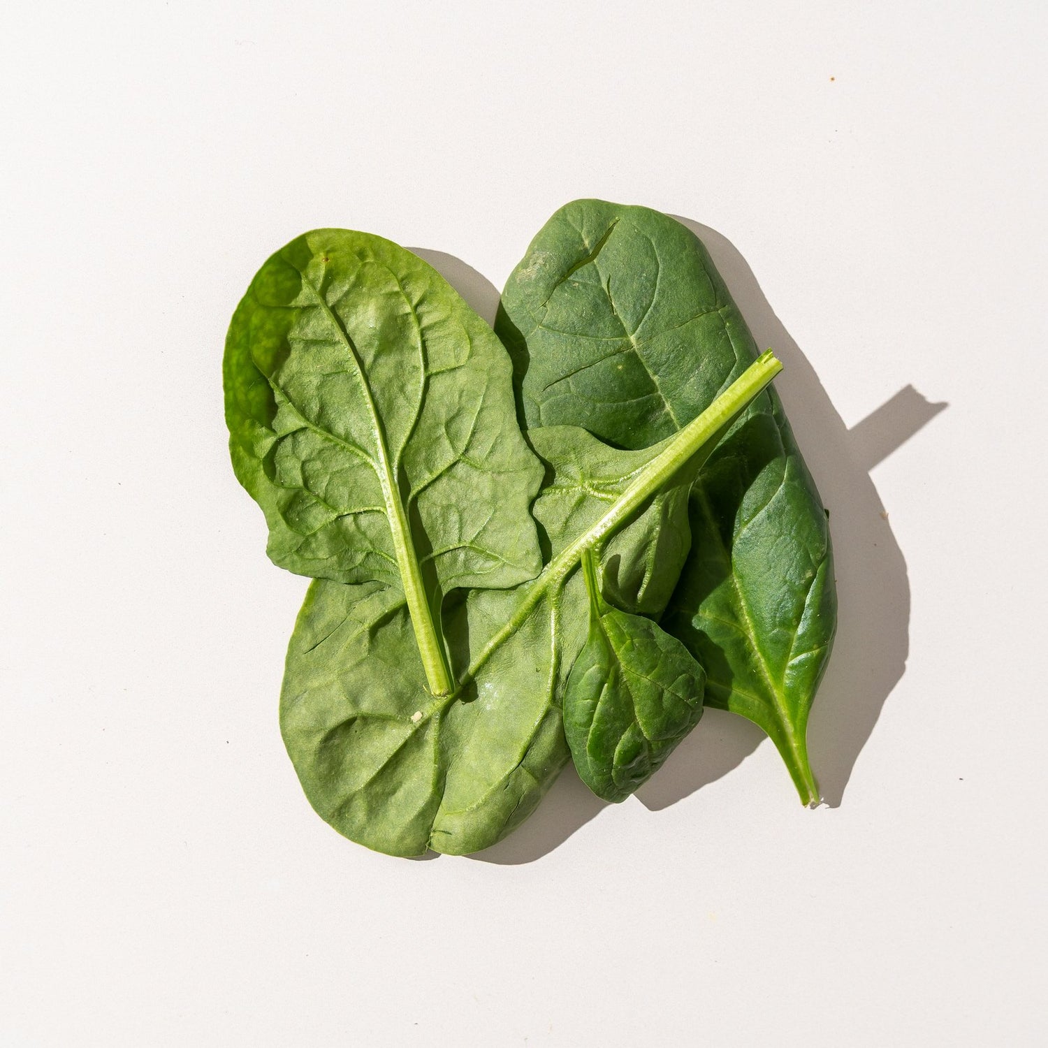Fresh organic spinach leaves