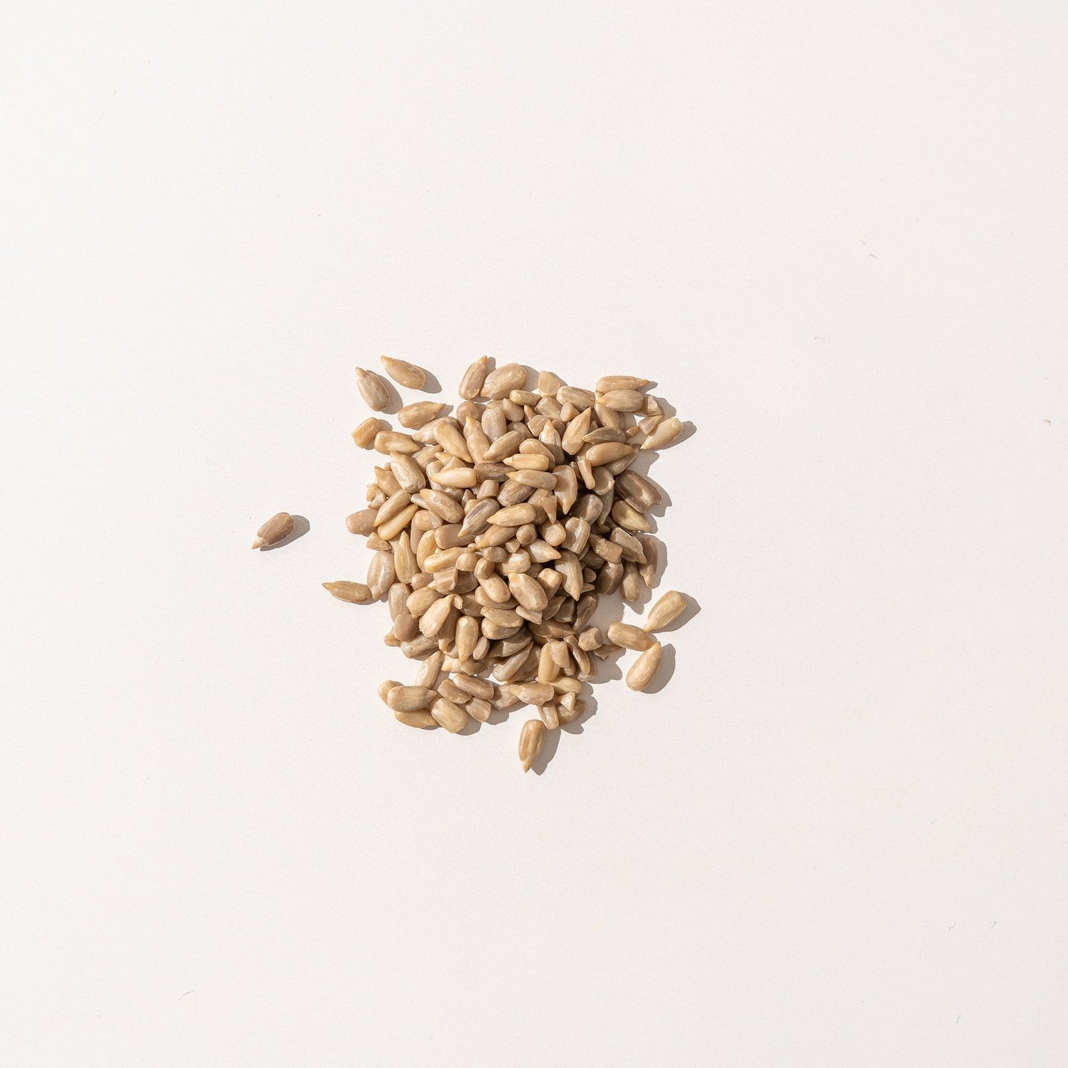 Sunflower seeds - source of sunflower lecithin