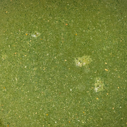 Close-up of Releaf Super Greens drink texture showing real plant particles